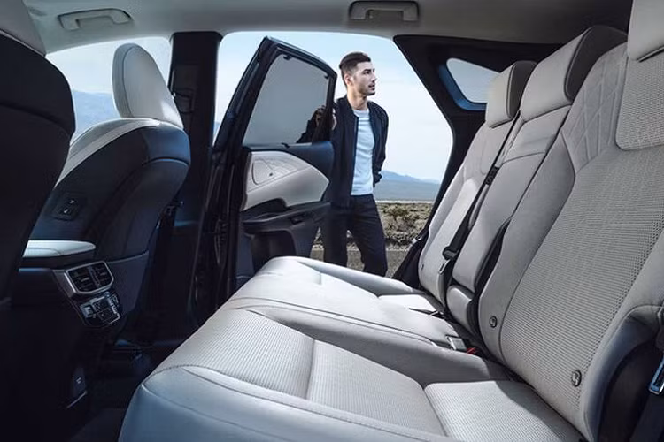 Tuy nhiên, cũng trong năm 2022, một số thông tin được báo chí tại Nhật Bản đăng tải hé lộ việc Lexus đang lên kế hoạch bổ sung một mẫu SUV 3 hàng ghế với tên gọi TX.