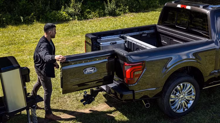 Ford lang le doi logo, van hinh oval nhung toi gian va hien dai-Hinh-2