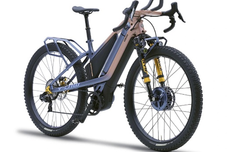 Giờ đây, hệ dẫn động 2WD này đã chính thức được đưa vào những mẫu xe đạp điện. Bên cạnh động cơ đặt giữa thường dùng cho những mẫu xe dẫn động bánh sau thì ở chiếc xe đạp điện này còn được trang bị một động cơ trung tâm đặt ở phía trước.