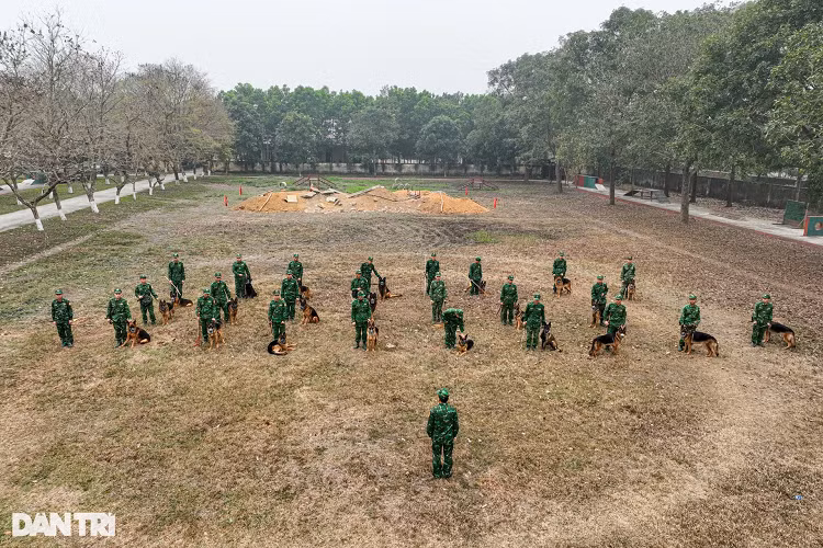 Trường Trung cấp 24 Biên phòng (ở Ba Vì, Hà Nội), thuộc Bộ Tư lệnh Bộ đội Biên phòng (Bộ Quốc phòng) là trường duy nhất trong Quân đội đào tạo huấn luyện viên, huấn luyện chó nghiệp vụ theo 5 chuyên ngành, gồm: Chó chiến đấu, chó phát hiện ma túy, chó phát hiện chất nổ, chó tìm kiếm cứu nạn và chó giám biệt nguồn hơi, hỗ trợ công tác điều tra hình sự.