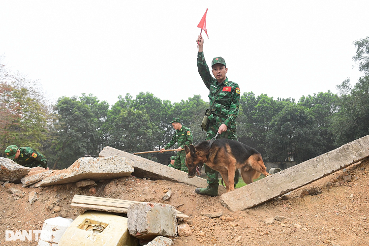 Một tình huống giả định trong bài học đối với chó huấn luyện chuyên ngành tìm kiếm cứu nạn là phải tìm kiếm vị trí nạn nhân bị vùi lấp bởi bê tông, đất đá. Khi nghe khẩu lệnh của huấn luyện viên, chó lập tức lùng sục, bới tung đất đá để tìm vị trí giả có người gặp nạn.