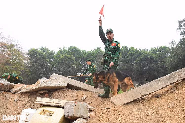 Một tình huống giả định trong bài học đối với chó huấn luyện chuyên ngành tìm kiếm cứu nạn là phải tìm kiếm vị trí nạn nhân bị vùi lấp bởi bê tông, đất đá. Khi nghe khẩu lệnh của huấn luyện viên, chó lập tức lùng sục, bới tung đất đá để tìm vị trí giả có người gặp nạn.