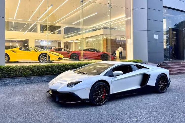 Số lượng Lamborghini Aventador LP700-4 tại Việt Nam khoảng trên 20 chiếc, trong số đó, có rất nhiều bản giới hạn như SV (Coupe - Roadster), SVJ (Coupe - Roadster) và còn đó 2 chiếc xe mang bản độ giới hạn, đầu tiên là Lamborghini Aventador Limited Edition 50 và một chiếc mang gói độ LP720-4 50º Anniversario đều độc nhất Việt Nam.