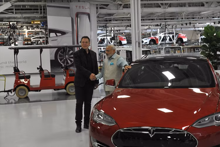 Tesla se san xuat oto dien gia re o nha may tai An Do-Hinh-2