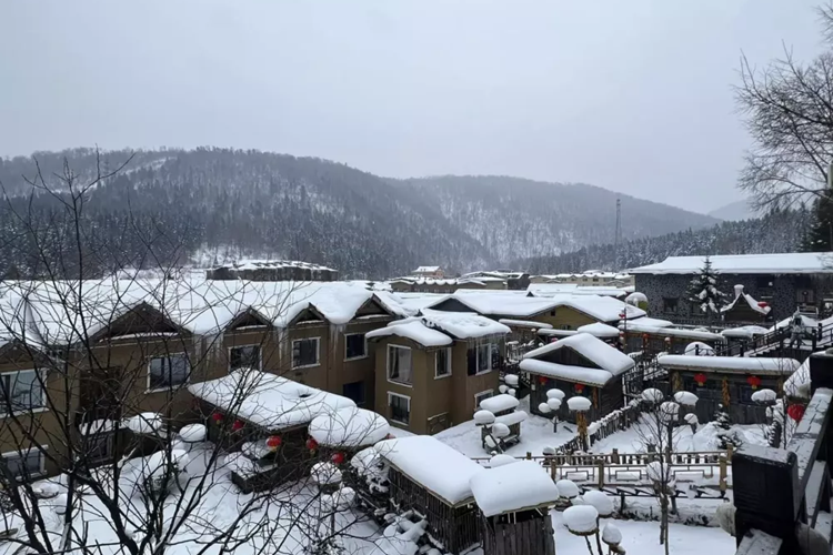 Cho 1 chiếc xe thể thao Porsche 911 chạy đường tuyết sẽ rất nguy hiểm, nhưng với Dakar lại khác, chẳng khác gì thả hổ về rừng, để giúp Porsche 911 Dakar có thể thỏa cơn khát vượt nhiều địa hình của mình mà trước đó, tay chơi xe Hải Phòng đã cho xe leo núi, băng hồ, qua rừng...