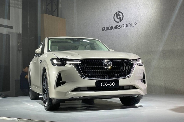 CX-60 là một thành viên trong dòng sản phẩm mang tên Large Products của hãng Mazda, bên cạnh CX-70, CX-80 và CX-90. Tương tự CX-80, mẫu xe SUV Mazda CX-60 chủ yếu dành cho thị trường châu Âu, châu Á và châu Đại Dương. Trong khi đó, cặp đôi Mazda CX-70 và CX-90 dành cho thị trường Bắc Mỹ.