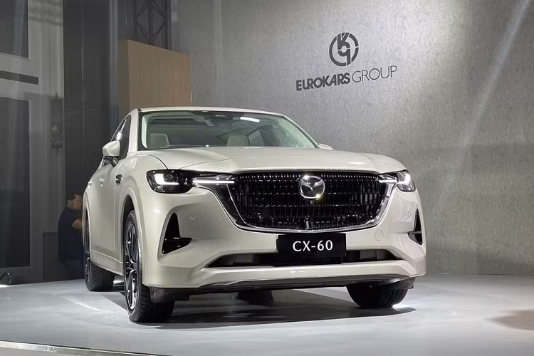 CX-60 là một thành viên trong dòng sản phẩm mang tên Large Products của hãng Mazda, bên cạnh CX-70, CX-80 và CX-90. Tương tự CX-80, mẫu xe SUV Mazda CX-60 chủ yếu dành cho thị trường châu Âu, châu Á và châu Đại Dương. Trong khi đó, cặp đôi Mazda CX-70 và CX-90 dành cho thị trường Bắc Mỹ.