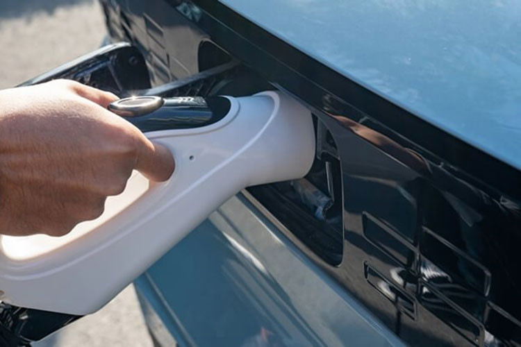 Hiện tại, các thông số kỹ thuật và giá xe Wuling HongGuang MiniEV tại Việt Nam vẫn chưa được TMT Motors chính thức công bố, nhưng dự đoán sẽ không quá 200 triệu đồng. Theo đại diện TMT Motors chia sẻ, dự kiến công ty sẽ ra mắt và nhận đặt hàng mẫu xe này ngay trong Quý 2 này.