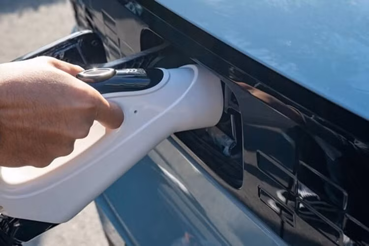 Hiện tại, các thông số kỹ thuật và giá xe Wuling HongGuang MiniEV tại Việt Nam vẫn chưa được TMT Motors chính thức công bố, nhưng dự đoán sẽ không quá 200 triệu đồng. Theo đại diện TMT Motors chia sẻ, dự kiến công ty sẽ ra mắt và nhận đặt hàng mẫu xe này ngay trong Quý 2 này.