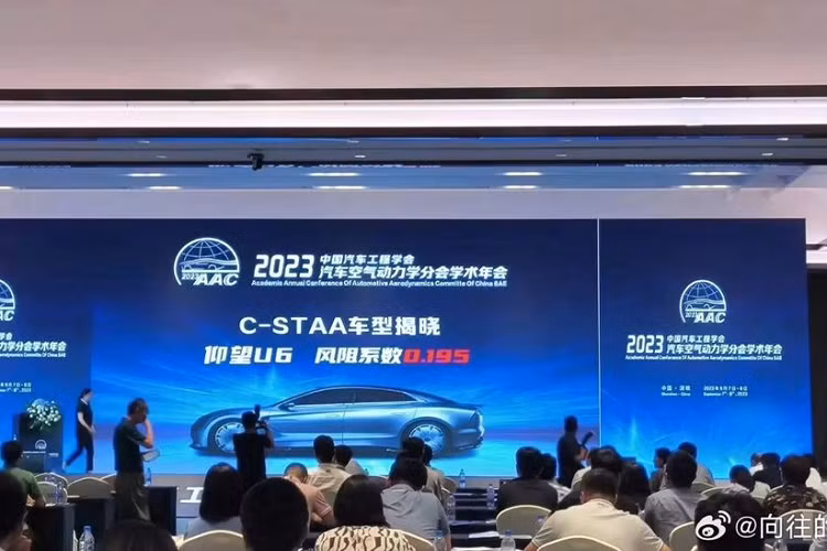 Mẫu xe đầu tiên mang thương hiệu YangWang là U8 – một chiếc SUV cỡ lớn sở hữu ngoại hình hầm hố và có thể “bơi” trong nước như một chiếc ca nô thực thụ. Đến tháng 4/2023, YangWang tiếp tục giới thiệu U9 – siêu xe thể thao thuần điện có công suất hơn 1.000 mã lực.