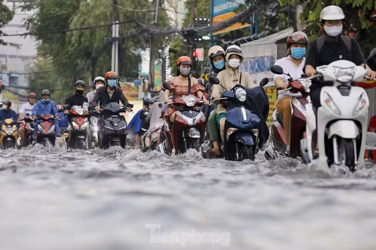 Đường Cây Trâm (quận Gò Vấp) là một trong những tuyến đường chịu ảnh hưởng do ngập. Nguyên nhân gây ngập do cường độ mưa lớn trong thời gian ngắn kết hợp địa hình trũng thấp cục bộ...