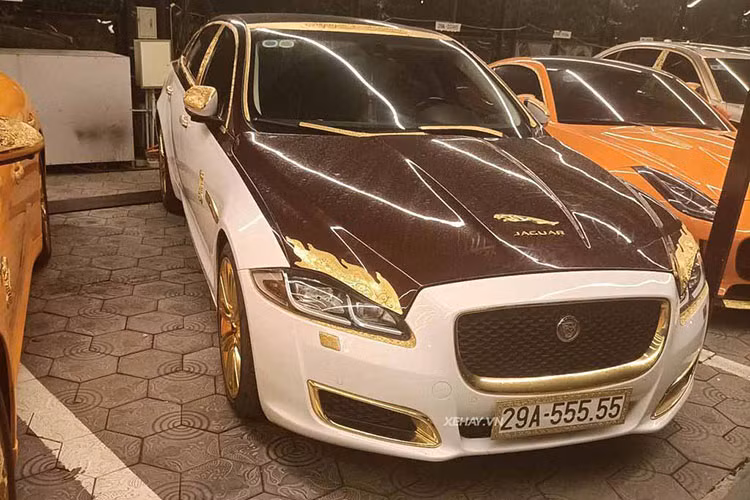 Tuy nhiên, do chủ xe là đại gia buôn lợn tại Hải Dương sinh năm Tỵ, nên trên các xe ông đều mạ vàng một con rắn ở thân.