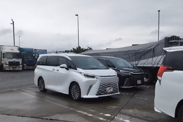 Sau 4 năm kể từ lần ra mắt thế hệ đầu tiên, Lexus đã hé lộ thế hệ thứ 2 của dòng xe minivan LM. Theo đó, Lexus LM 2023 mới đã có rất nhiều cải tiến. Tiêu biểu là độ cứng vững xoắn của xe được cải thiện 50% so với phiên bản tiền nhiệm. Các thanh giằng phía trước mặt ca lăng và sàn phía sau tạo ra một cấu trúc “bập bênh” thẳng, tăng độ chắc cho các cột trụ. 