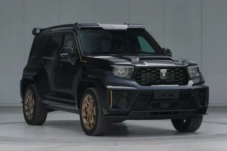 Mẫu xe SUV địa hình địa hình này có động cơ V6 tăng áp kép 3 lít dưới mui xe cho công suất 360 mã lực hoạt động kết hợp với một động cơ điện tử. Tổng công suất của nó là 517 mã lực và 750 Nm. Tank là thương hiệu xe địa hình cao cấp trực thuộc Great Wall Motor.