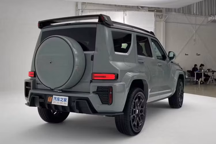 Khối lượng sản xuất của nó được giới hạn chỉ 70 chiếc. Phiên bản đặc biệt Tank 700 Hi4-T có lưới tản nhiệt cỡ lớn, chắn bùn rộng, cản va thể thao và cánh lướt gió trên nóc sau. Kích thước của nó là 5110/2122/1986 mm với chiều dài cơ sở 3000 mm.