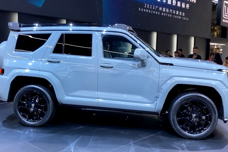 Ngoài kiểu dáng bên ngoài và các chi tiết phía trước khác nhau, các phiên bản giới hạn và phổ thông của Tank 700 Hi4-T đều tương tự nhau. Tank 700 Hi4-T có trọng lượng giới hạn từ 3.110 – 3.195 kg. Tổng trọng lượng đạt 3.630 kg. Bên trong, những chiếc SUV này có năm chỗ ngồi. Tank 700 có thể kéo tới 2.500 kg.