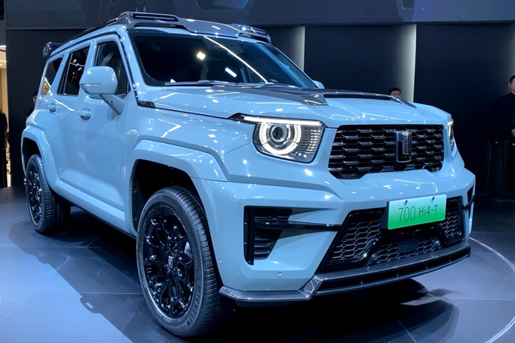 Dưới mui xe, Tank 700 Hi4-T có động cơ V6 3 lít cho công suất 360 mã lực. Nó được ghép nối với một động cơ điện tử và 9HAT. Tổng công suất đầu ra của hệ truyền động Tank 700 đạt 517 mã lực. Nó có pin ternary (NMC) do SVOLT, một công ty con của Great Wall Motor sản xuất.