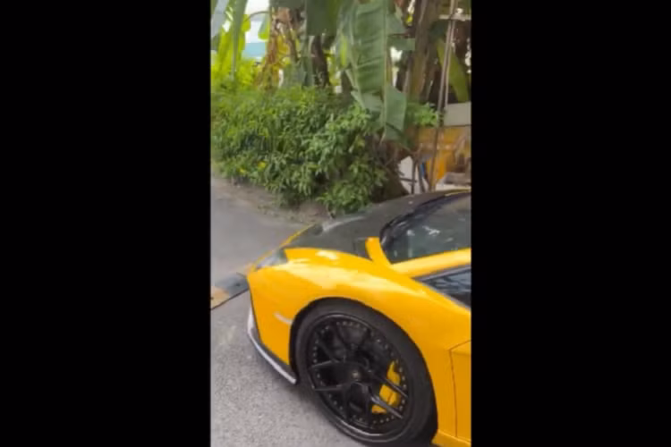 Hiện tại Việt Nam còn có thêm 1 chiếc xe McLaren Senna về nước, xe được nhập khẩu không chính hãng, ra biển số CV của nước ta và có màu áo khá chiến khi lấy cảm hứng từ chiếc xe F1 của tay đua huyền thoại Ayrton Senna, dù có khác biệt ở bộ áo cũng như trang bị trong nội thất, nhưng cả 2 xe McLaren Senna tại Việt Nam đều có trang bị ống xả kép