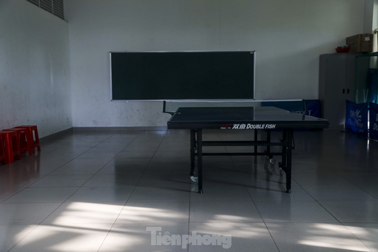 Nhà Thiếu nhi tổ chức các lớp, câu lạc bộ, đội nhóm năng khiếu với trên 30 bộ môn, thường xuyên thu hút trên 30.000 lượt em/năm tham gia sinh hoạt và học tập.