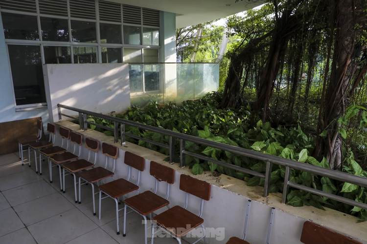 Yếu tố nhiệt đới rất được chú trọng trong thiết kế kiến trúc. Các không gian đều thoáng và sáng tự nhiên.