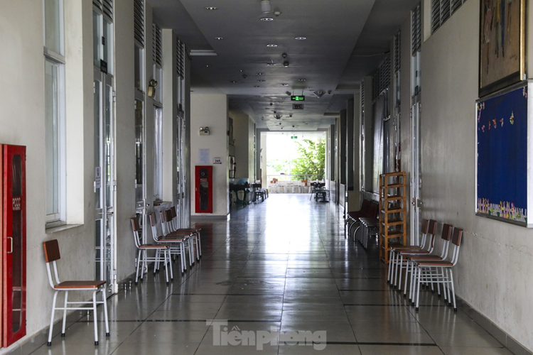 Nhà thiếu nhi có 14 phòng chức năng và 23 phòng học năng khiếu.