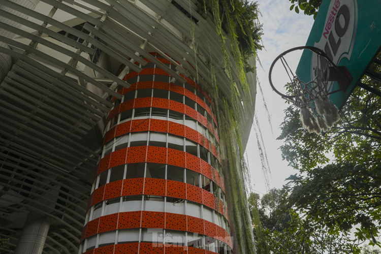 Từ dàn cây to được trồng ở khu vực bên ngoài, cho đến những loại dây leo thả rũ xuống ở khu vực cầu thang và cả những chậu cây nhỏ được đặt khắp từ trong ra ngoài, tất cả đều tạo nên một không khí dễ chịu, thoải mái cho không gian ở đây.