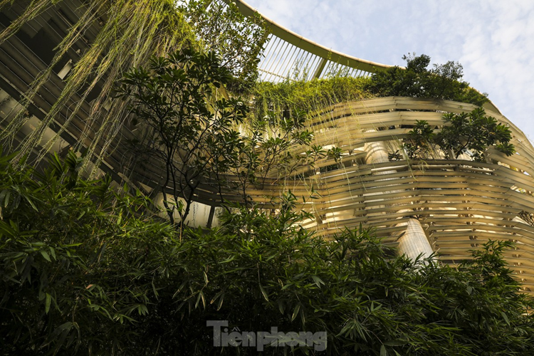 Công trình được trồng nhiều cây xanh khắp mọi nơi, trên các tầng tạo nên điểm nổi bật trên nền trắng chủ đạo của toà nhà.
