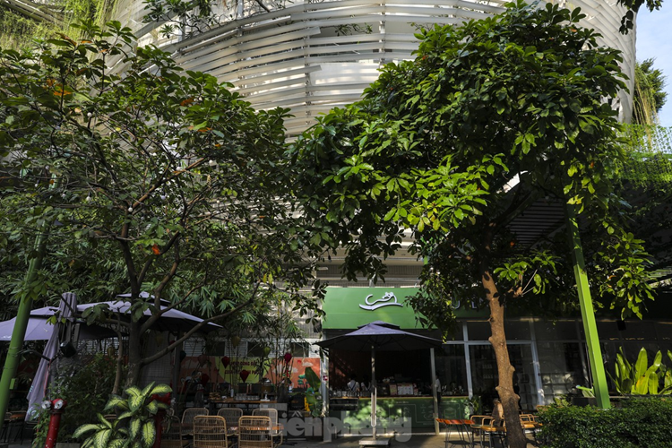 Tầng trệt có quán cà phê, hội trường đa năng, sảnh hoạt động cho ngày mưa, không gian chờ cho phụ huynh.