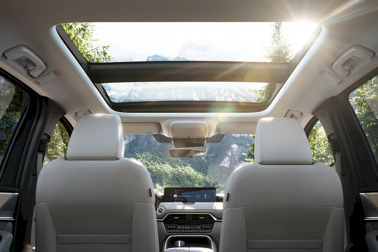 Bản máy dầu có tên "3.3L 8AT AWD HEV Turbo-D Sport", vận hành bằng động cơ diesel 6 xy-lanh thẳng hàng có turbo tăng áp, dung tích 3,3 lít và cũng được kết hợp với hộp số tự động 8 cấp cùng hệ dẫn động 4 bánh toàn thời gian i-Activ. Hệ thống hybrid nhẹ với M Hybrid Boost 48 volt cũng xuất hiện ở đây, mang lại tổng công suất 254 mã lực tại 3.750 vòng/phút và mô-men xoắn cực đại 550 Nm trong khoảng 1.500 - 2.400 vòng/phút.