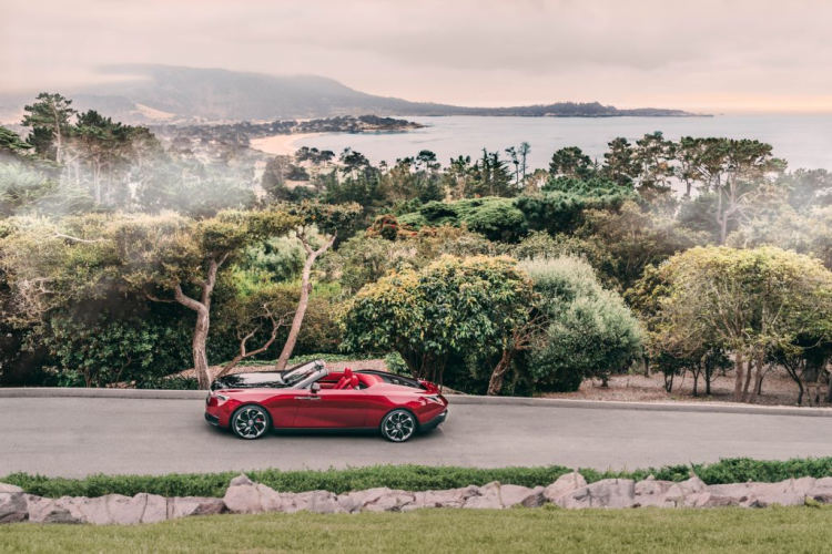 Rolls-Royce cho biết đây là loài hoa ưa thích của người mẹ trong gia đình đặt hàng siêu phẩm này. Tông đỏ ở ngoại thất xe được chế tác đặc biệt để nhìn như màu đen trong bóng tối nhưng lại rực rỡ khi ra ngoài sáng. Rolls-Royce làm được điều này nhờ kết hợp hai tông đỏ độc quyền khác nhau được hãng đặt tên True Love và Mystery.