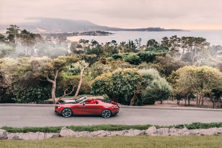 Rolls-Royce cho biết đây là loài hoa ưa thích của người mẹ trong gia đình đặt hàng siêu phẩm này. Tông đỏ ở ngoại thất xe được chế tác đặc biệt để nhìn như màu đen trong bóng tối nhưng lại rực rỡ khi ra ngoài sáng. Rolls-Royce làm được điều này nhờ kết hợp hai tông đỏ độc quyền khác nhau được hãng đặt tên True Love và Mystery.