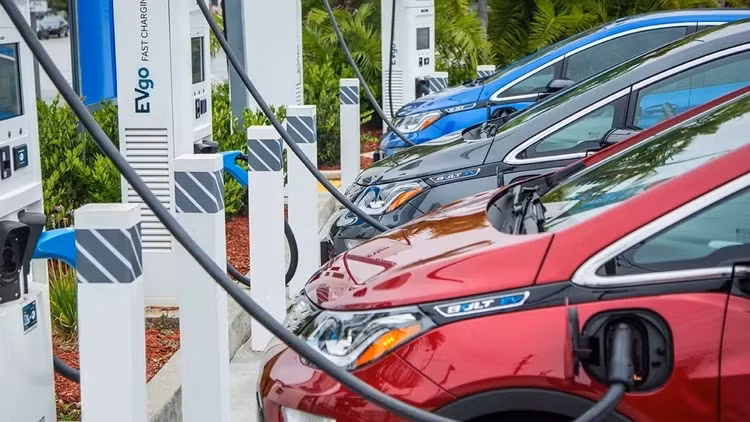 Ly do oto dien ve Viet Nam kho chay duoc xa nhu cong bo