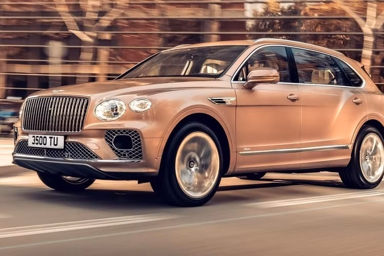 Trước đó, đại lý chính hãng cũng đã mở chương trình đặt cọc mua xe Bentley Bentayga EWB 2023 cho giới nhà giàu Việt với mức giá từ 18,5 tỷ đồng, khá mềm so với đối thủ của nó là Rolls-Royce Cullinan có giá chính hãng trên 30 tỷ đồng, chưa bao gồm các tùy chọn thêm.