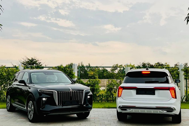 Các đối thủ của E-HS9 tại thị trường Việt Nam là những mẫu SUV hạng sang cỡ lớn như Mercedes-Benz GLS và BMW X7 và Lexus LX600. Hongqi E-HS9 có ngoại hình sang trọng, gợi nhiều liên tưởng đến Rolls-Royce.