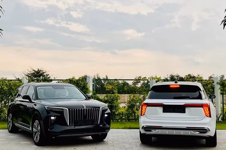 Các đối thủ của E-HS9 tại thị trường Việt Nam là những mẫu SUV hạng sang cỡ lớn như Mercedes-Benz GLS và BMW X7 và Lexus LX600. Hongqi E-HS9 có ngoại hình sang trọng, gợi nhiều liên tưởng đến Rolls-Royce.