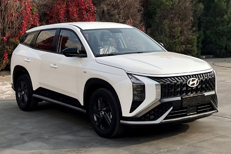 Theo những thông tin đã công bố trước đó, chiếc xe Hyundai Mufasa mới sẽ được trang bị động cơ 4 xi-lanh, dung tích 2.0 lít, hút khí tự nhiên, cho công suất tối đa 161 mã lực.