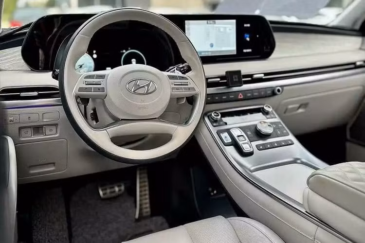 Sau vài năm thăm dò thị trường, Hyundai Thành Công sẽ phân phối Palisade chính hãng ở Việt Nam. Những chiếc Palisade đầu tiên bán tại Việt Nam là xe nhập khẩu. Nếu dung lượng thị trường ổn định mới lắp ráp. Hyundai Palisade lại thuộc phân khúc SUV cỡ lớn (Cỡ E), tương tự dòng Kia Telluride "anh em", cạnh tranh cùng Ford Explorer (2,4 tỷ đồng) và Volkswagen Teramont (2,5 tỷ đồng).