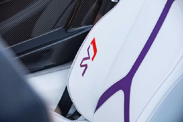 Mui xe chia thành hai phần riêng biệt giống với siêu xe Lamborghini Aventador SV Roadster tại Việt Nam, mỗi chiếc mui của Lamborghini Aventador SVJ Roadster có trọng lượng khoảng 6 kg. Nếu cần bỏ mui, các khách hàng thao tác khá đơn giản chỉ cần ấn nút được đặt sẵn sau trần xe. Phần mui tháo ra sẽ được để ở khoang hành lý phía trước.