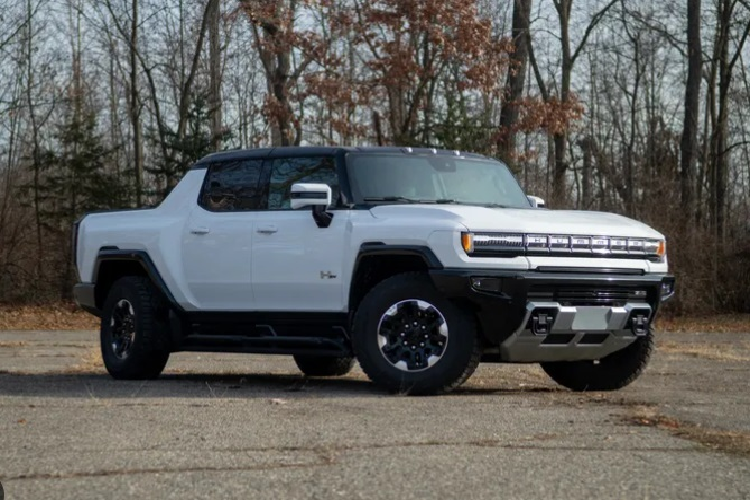 Hiện tại, hãng xe Mỹ General Motors đang cố gắng duy trì hoạt động sản xuất xe điện của mình nhờ dòng tiền từ việc bán các dòng xe tải và xe SUV chạy bằng động cơ đốt trong. Chevrolet Silverado và GMC Sierra là những dòng xe mang về doanh số lớn cho hãng.