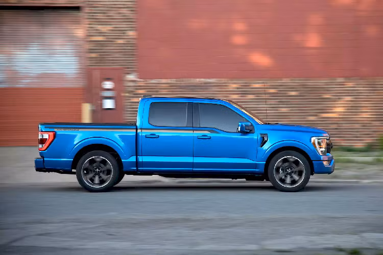 Tuy nhiên, những gói này sẽ không tương thích với xe F-150 có thùng hàng dài 8 feet (2,438 mét), chỉ lắp được nếu thùng xe là loại 5,5 feet (1,676 mét) hoặc 6,5 feet (1,828 mét). Đúng như tên gọi, gói Bronze Edition có các chi tiết trang trí màu đồng cho xe, bao gồm bộ tem dán kéo dài từ cửa đến thùng sau, chữ ở cửa thùng cũng như bộ mâm Sinister Bronze 22 inch độc đáo.