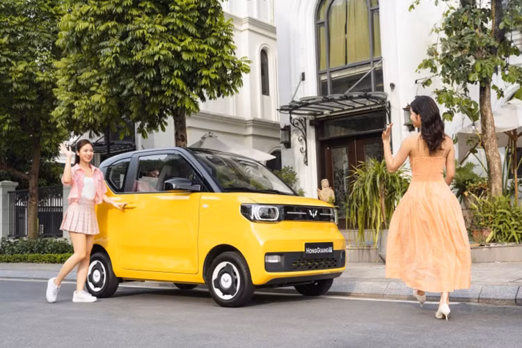 Sau khi được công bố, giá bán này bị nhiều người cho là quá cao so với những trang bị của xe. Wuling Hongguang Mini EV tại Việt Nam hiện do công ty TMT Motors lắp ráp. Theo kế hoạch, mẫu xe điện giá rẻ này sẽ bắt đầu được bàn giao cho khách hàng Việt Nam từ quý III năm nay.