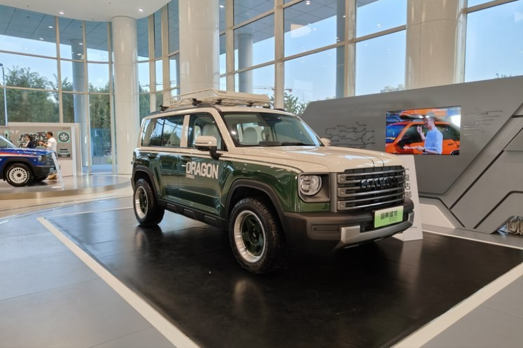 Hệ thống hybrid của xe Haval Raptor được chia thành hai phiên bản khác nhau, phiên bản 19,09Kwh-lithium iron phosphate có công suất hệ thống toàn diện 373 mã lực, mô-men xoắn 750Nm, phạm vi chạy điện thuần NEDC 102 km, hỗ trợ sạc nhanh và công suất cực đại 33kW.
