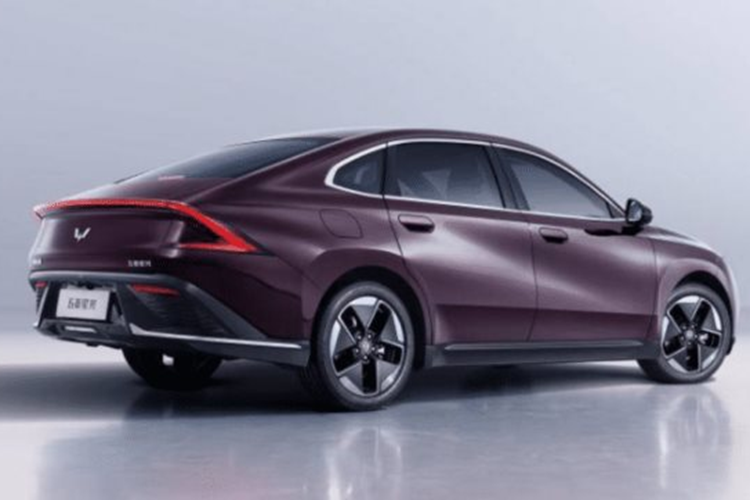 Pin là lithium-iron-phosphate (LFP). REPT và Heat Power sẽ là nhà cung cấp. Dung lượng pin sẽ được tiết lộ sau. Phiên bản PHEV sẽ mang theo bộ pin LFP do Zenergy và Huating Power cung cấp. Năng lực cũng vẫn chưa được tiết lộ. PHEV sẽ sử dụng động cơ 100 kW của Inboer Electric Co., Ltd.