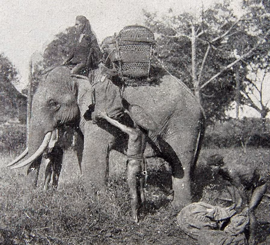 Voi là phương tiện chuyển phát đặc biệt tại một số khu vực hẻo lánh ở Tây Nguyên. Nhân viên chuyển phát là các nài voi người dân tộc thiểu số. Ảnh: Belle Indochine.