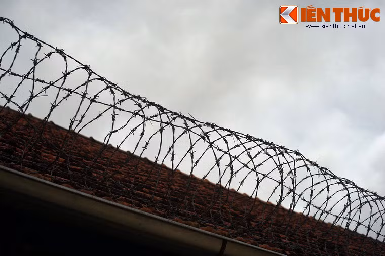 Với tính chất đặc biệt, nên không giống như các Trung tâm giáo huấn khác ở miền Nam thời bấy giờ, Trung tâm giáo huấn thiếu nhi Đà Lạt được tổ chức với quy mô lớn, trình độ tổ chức cao và đặt dưới sự chỉ huy trực tiếp của Tổng nha cảnh sát Sài Gòn.