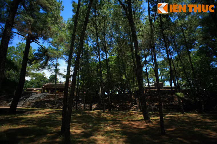 Toàn cảnh lăng Tự Đức như một công viên rộng lớn. Ở đó quanh năm có suối chảy, thông reo, muôn chim ca hát. Có thể coi đây là một kiệt tác về nghệ thuật xây dựng lăng tẩm thời Nguyễn.