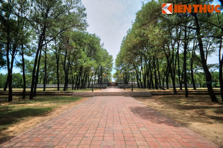 Nằm ở phường Trường An, thành phố Huế, đàn tế Nam Giao nhà Nguyễn là một đàn tế được vua Gia Long cho khởi công xây dựng vào ngày 25/3/1806, là nơi các vua nhà Nguyễn tổ chức lễ Tế Giao, lễ tế trời đất vào mùa xuân hàng năm.