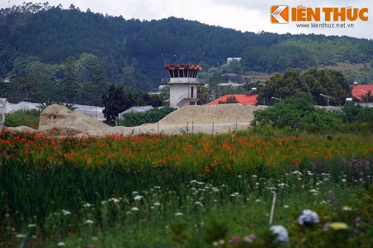 Sân bay cũng trở thành điểm ghé thăm của nhiều du khách ưa khám phá khi đến Đà Lạt.