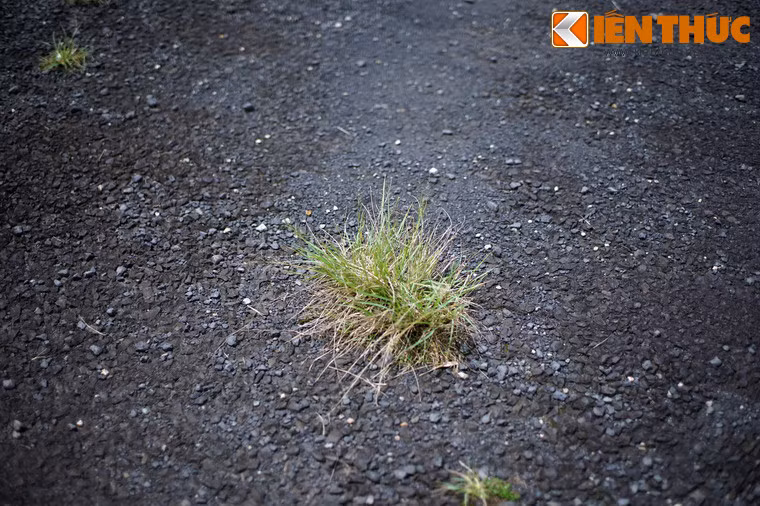 Tuy nhiên do diện tích và chiều dài đường băng hạn chế, không thể nâng cấp để tiếp nhận các máy bay phản lực thương mại hiện đại nên hoạt động khai thác thương mại ở sân bay Cam Ly tỏ ra không hiệu quả.