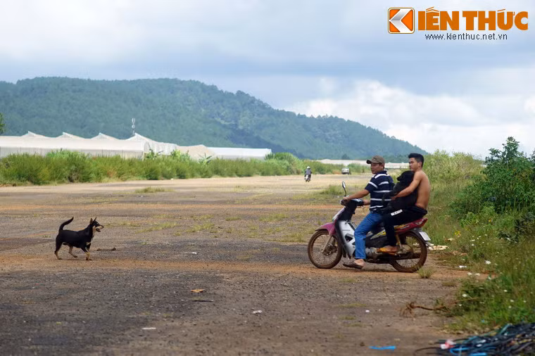 Theo đề án phát triển, sân bay Cam Ly sẽ được Bộ Quốc phòng đầu tư, sửa chữa, không chỉ để phục vụ các hoạt động về an ninh, quốc phòng mà còn được khai thác để đẩy mạnh phát triển kinh tế-xã hội của địa phương.